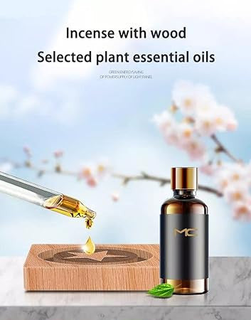 Airplane Air Freshner